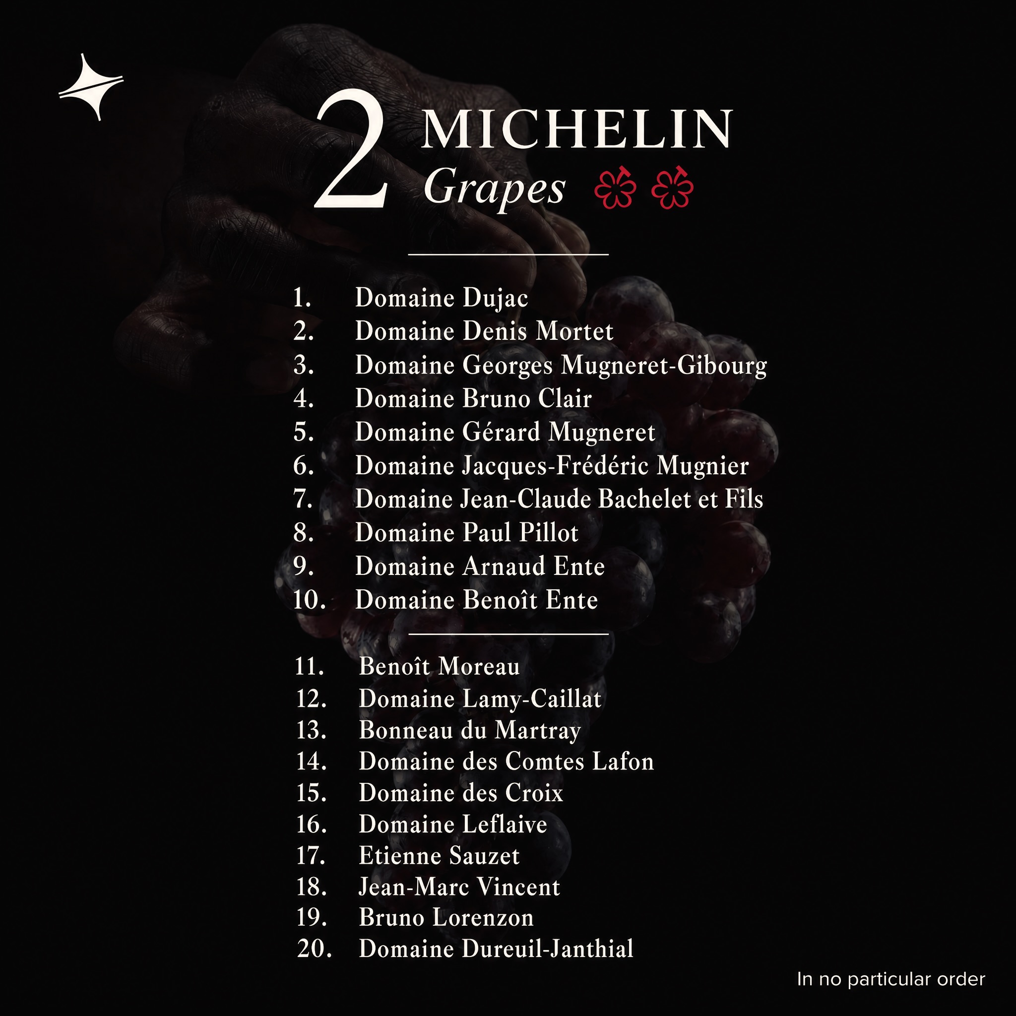 MICHELIN Grapes for Burgundy: The Complete Guide and Full List (2026)