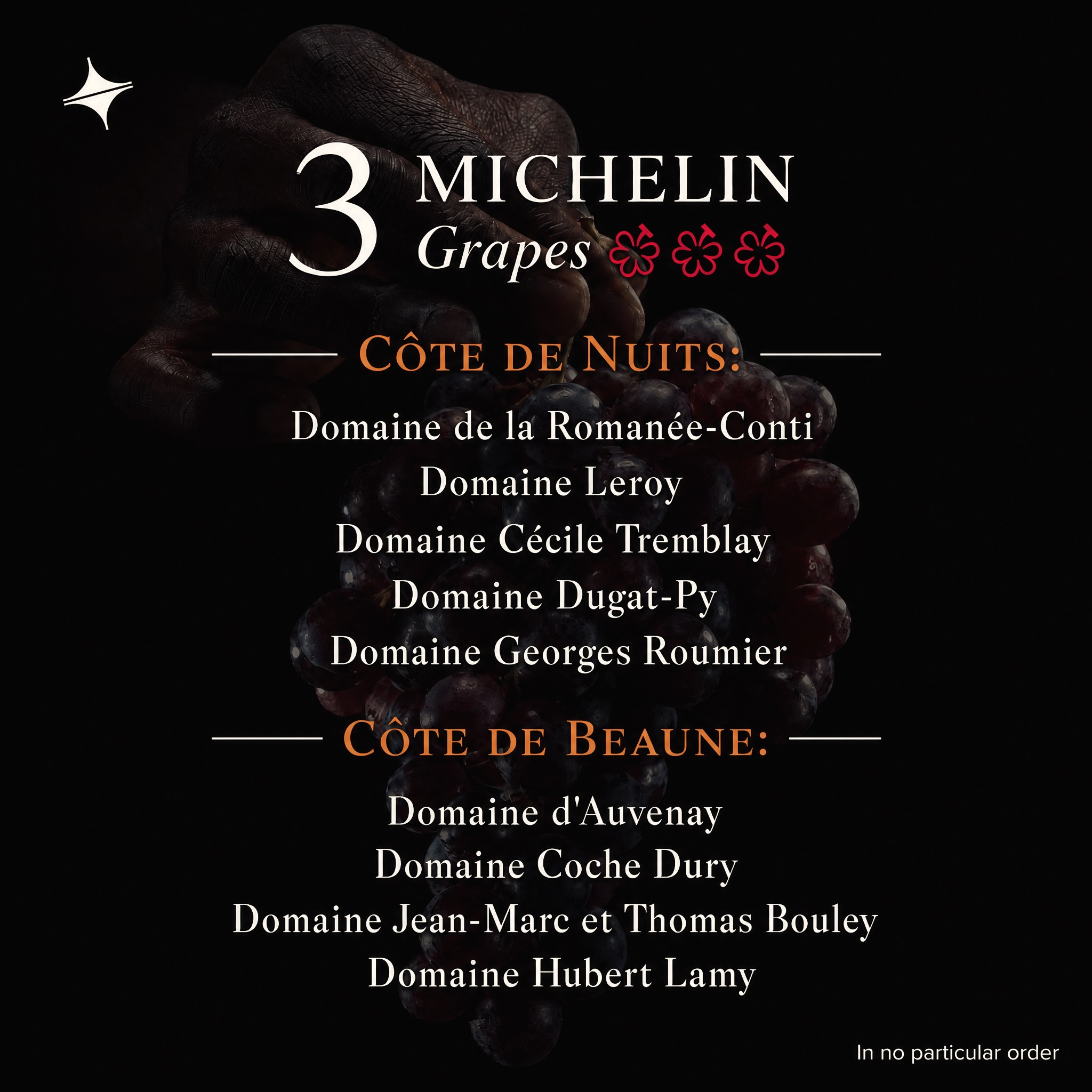 MICHELIN Grapes for Burgundy: The Complete Guide and Full List (2026)